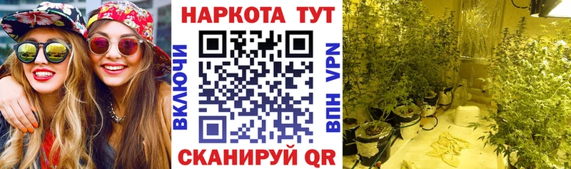 Где можно купить наркотики Высоцк A PVP  Cocaine  Мефедрон  Бошки Шишки 